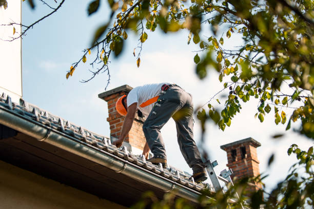 Gutter Installation and Roofing in Forest, VA