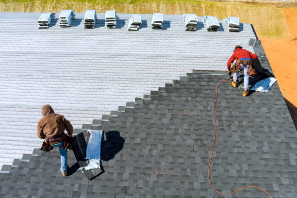 Best Storm Damage Roof Repair  in Forest, VA