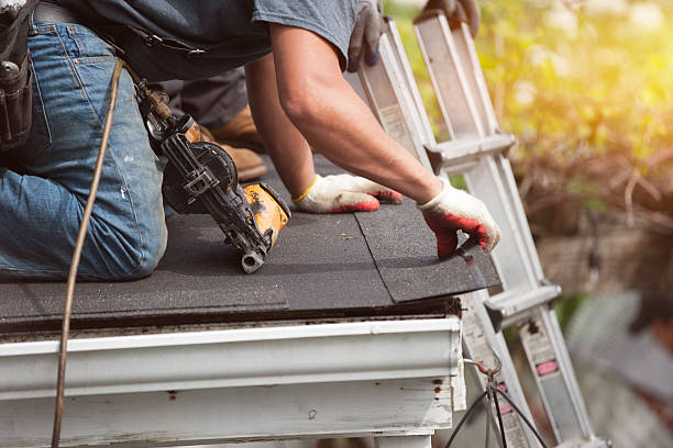 Best Roof Waterproofing Services  in Forest, VA